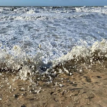 In With Stunning Sea Views 펜션 *