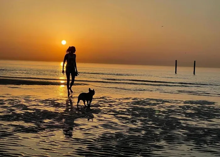 펜션 In With Stunning Sea Views