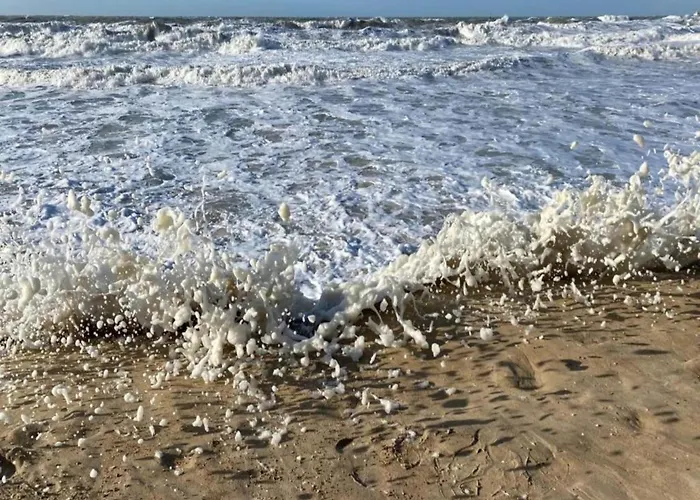 In With Stunning Sea Views Сasa de vacaciones *