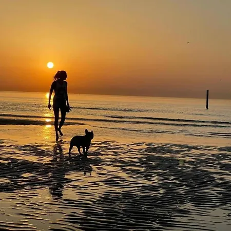 Feriehus In With Stunning Sea Views